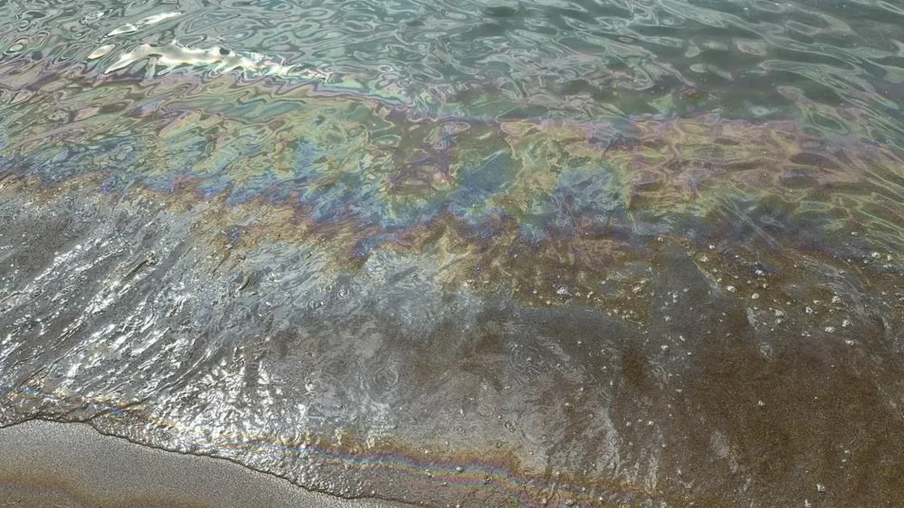 İnkumu'nda korkutan olay! Denize girmek yasaklandı