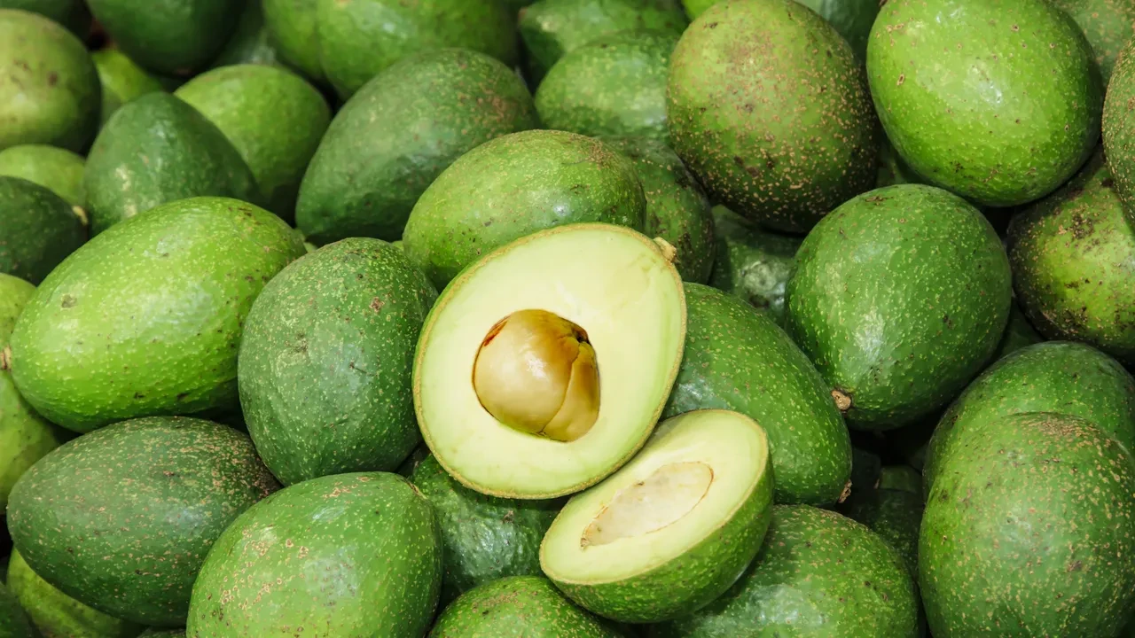 Sınavdan önce bu yiyecekleri yiyen daha yüksek not alıyor! Beyin gücünü arttıran 5 besin