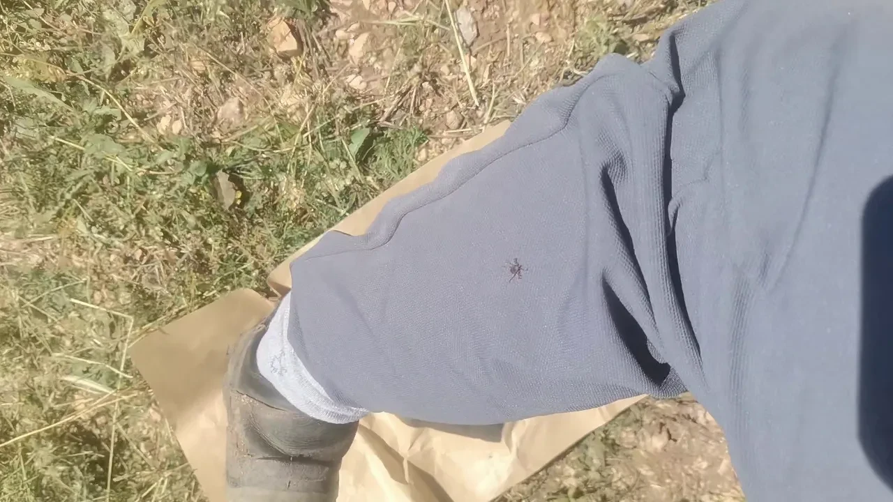 Üzerine gelen keneleri kaydetti! 