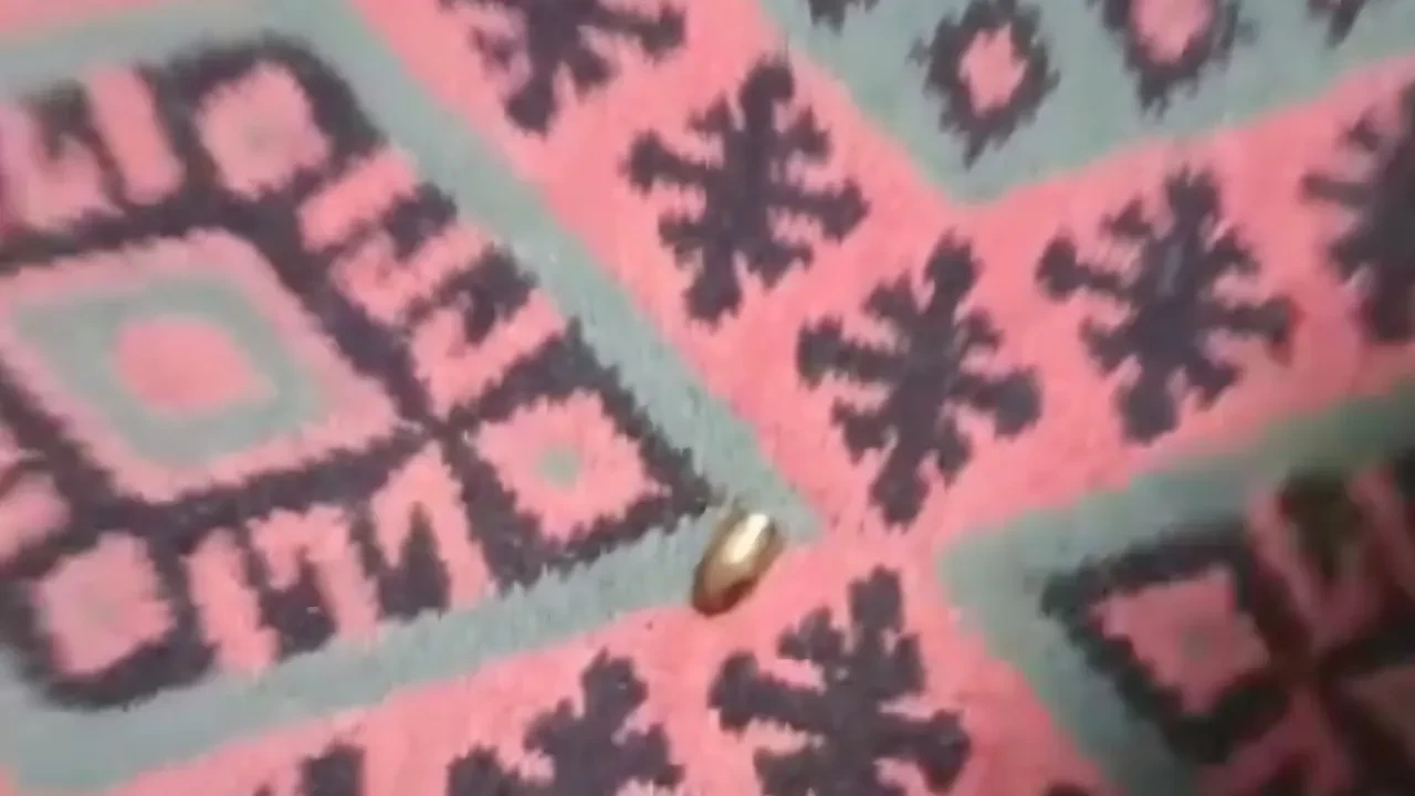 Adana'da yorgun mermi, ailenin oturduğu çardağa isabet etti