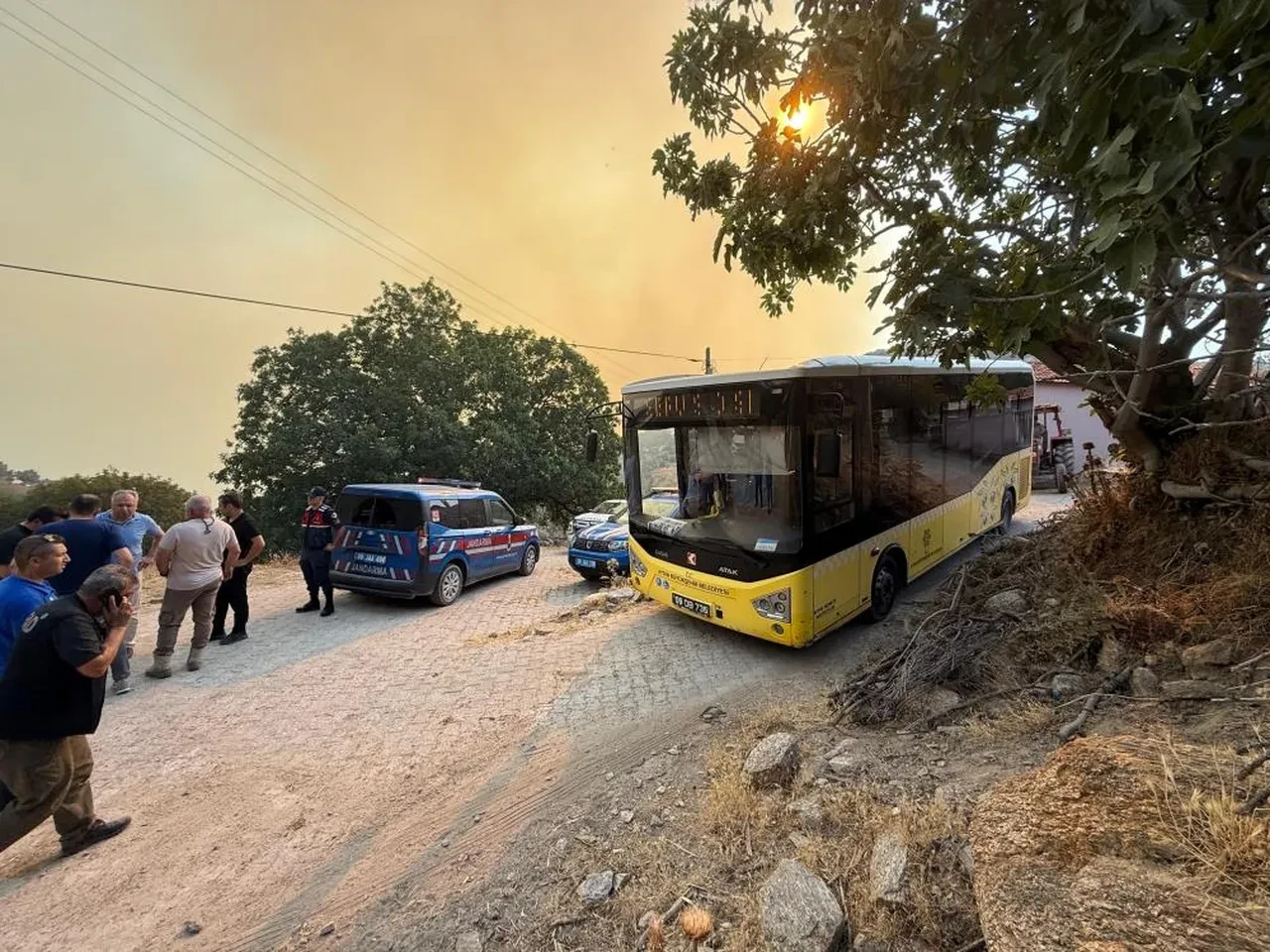 Aydın'da tarım arazisinde yangın! Evler tahliye edildi