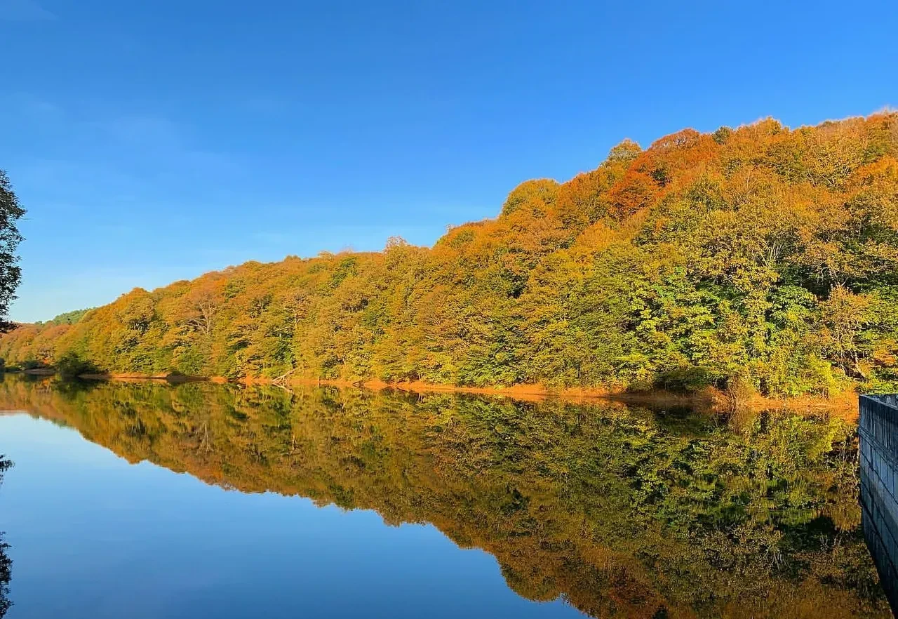 İstanbul'da ormanlık alanlara girişler yasaklandı, tarihler açıklandı