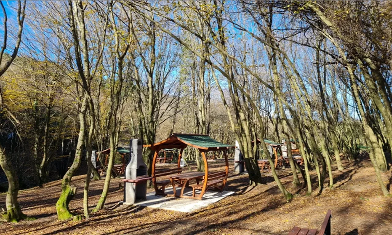 İstanbul'da ormanlık alanlara girişler yasaklandı, tarihler açıklandı