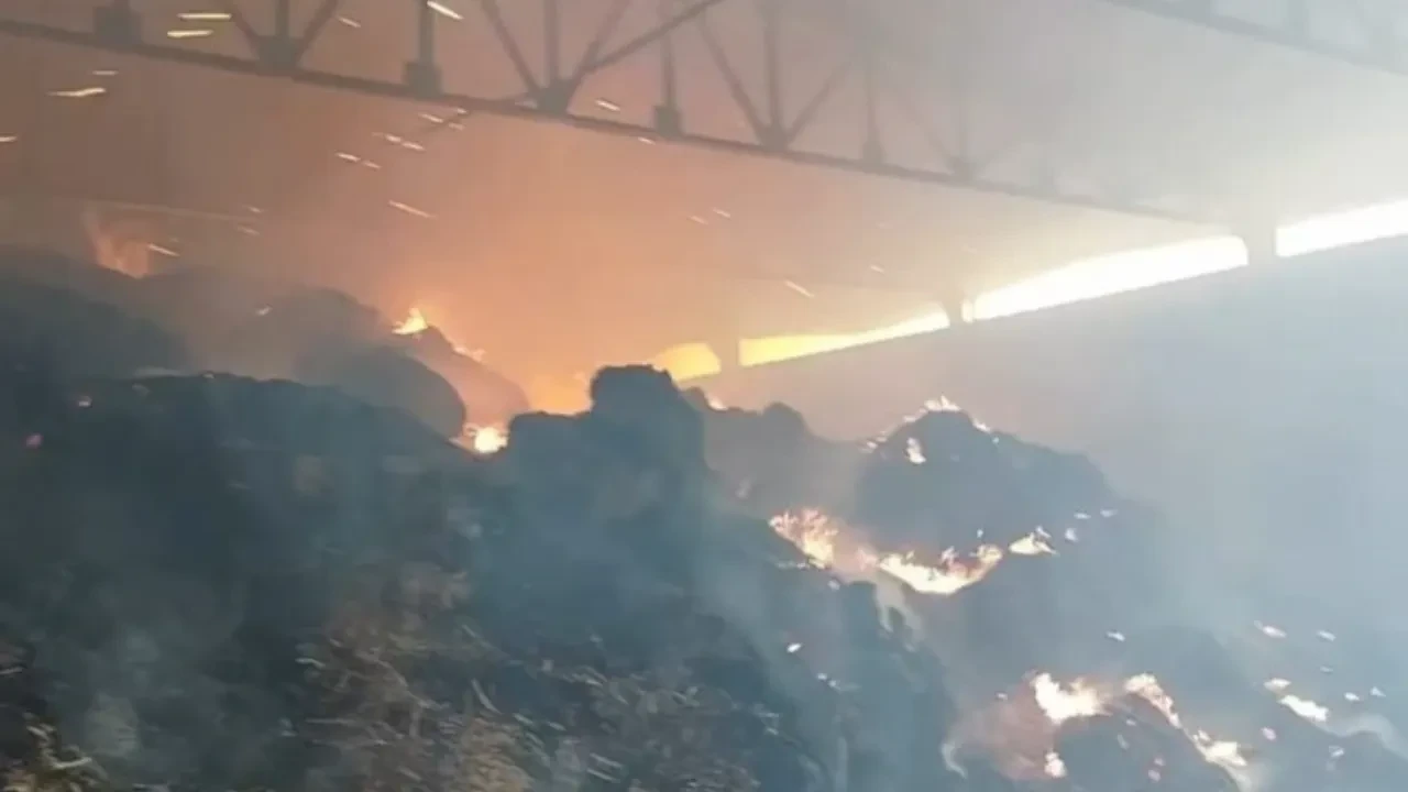 Manisa'da samanlık yangını! Binlerce balya kül oldu