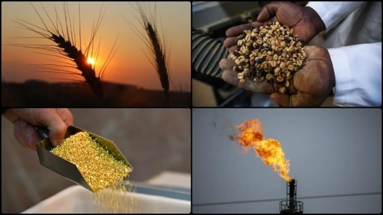 Emtia piyasasında dalgalı seyir