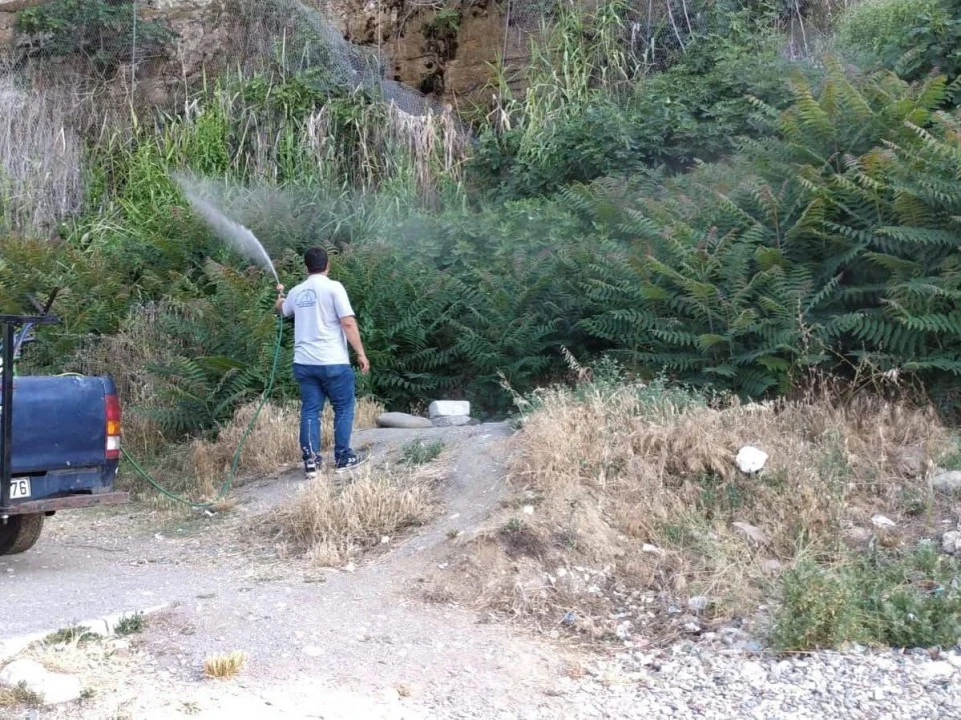 Silivri Belediyesi haşerelere savaş açtı!