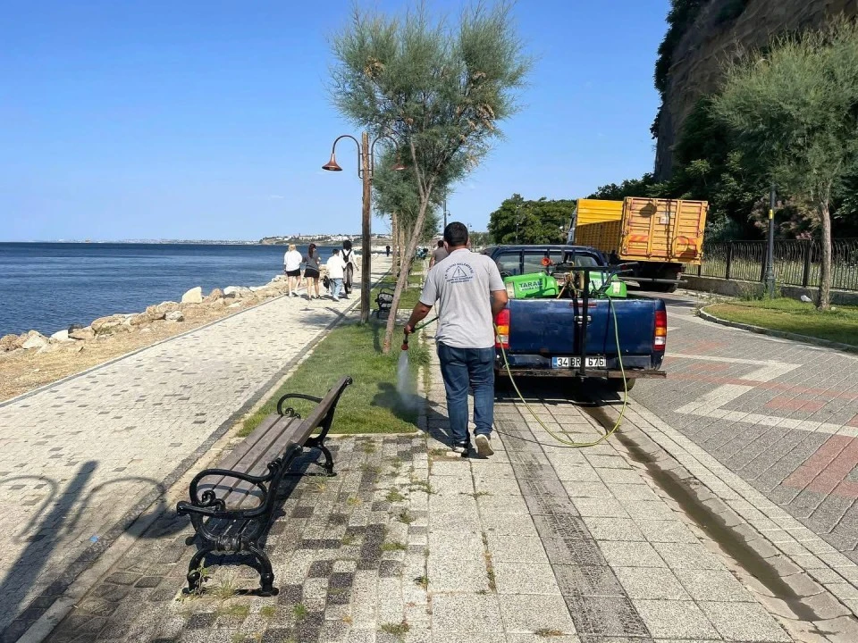 Silivri Belediyesi haşerelere savaş açtı!