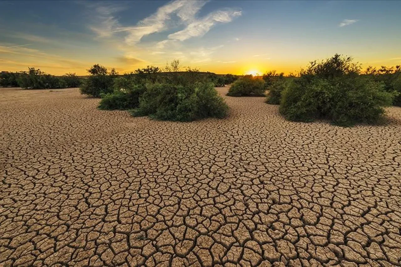 İklim krizinde geri sayım başladı: Sadece 3 yıl kaldı
