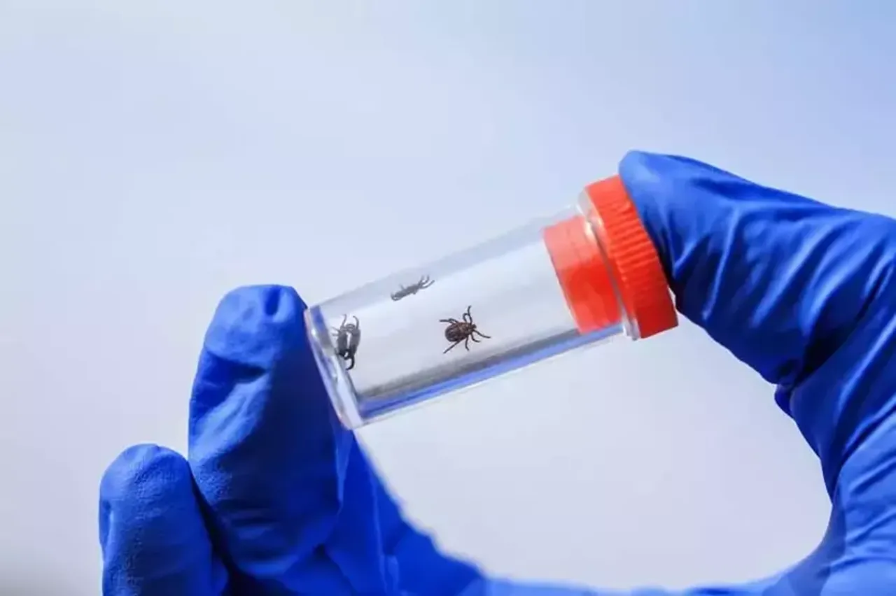 Kene kabusu! Yozgat'ta can kaybı 3'e yükseldi