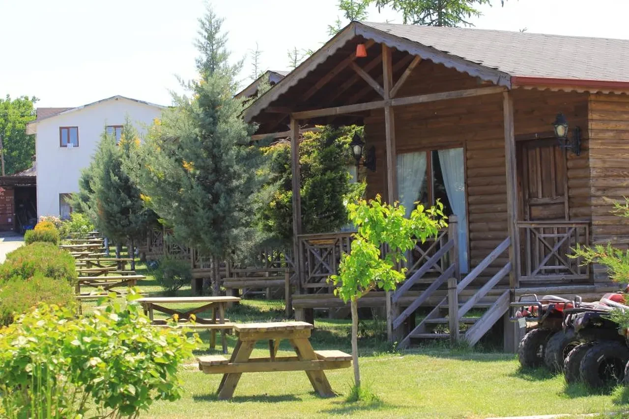 Mühendisliği bıraktı, babaannesinin tarlasına kurdu! Japonya'dan gelen bile var