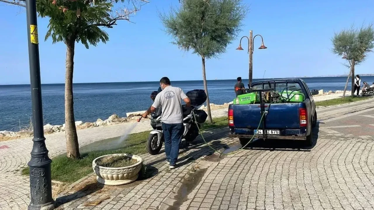 Silivri Belediyesi haşerelere savaş açtı!