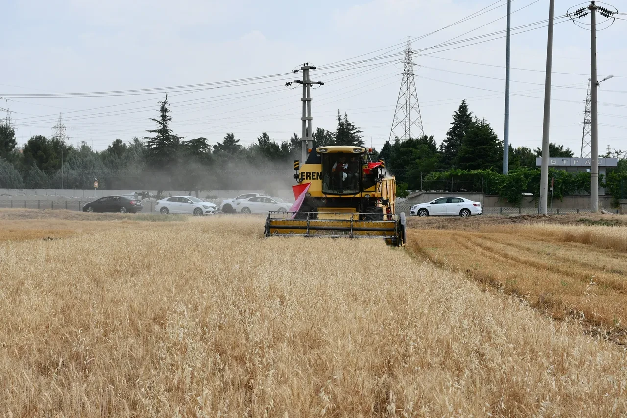 Türkiye'de tarım sayım seferberliği başlıyor