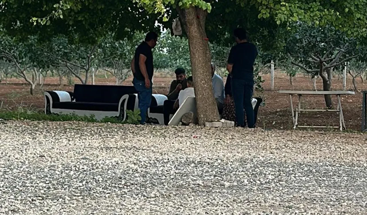 Ağabey dehşet saçtı! Gaziantep'te kardeşlerin tartışması cinayetle bitti