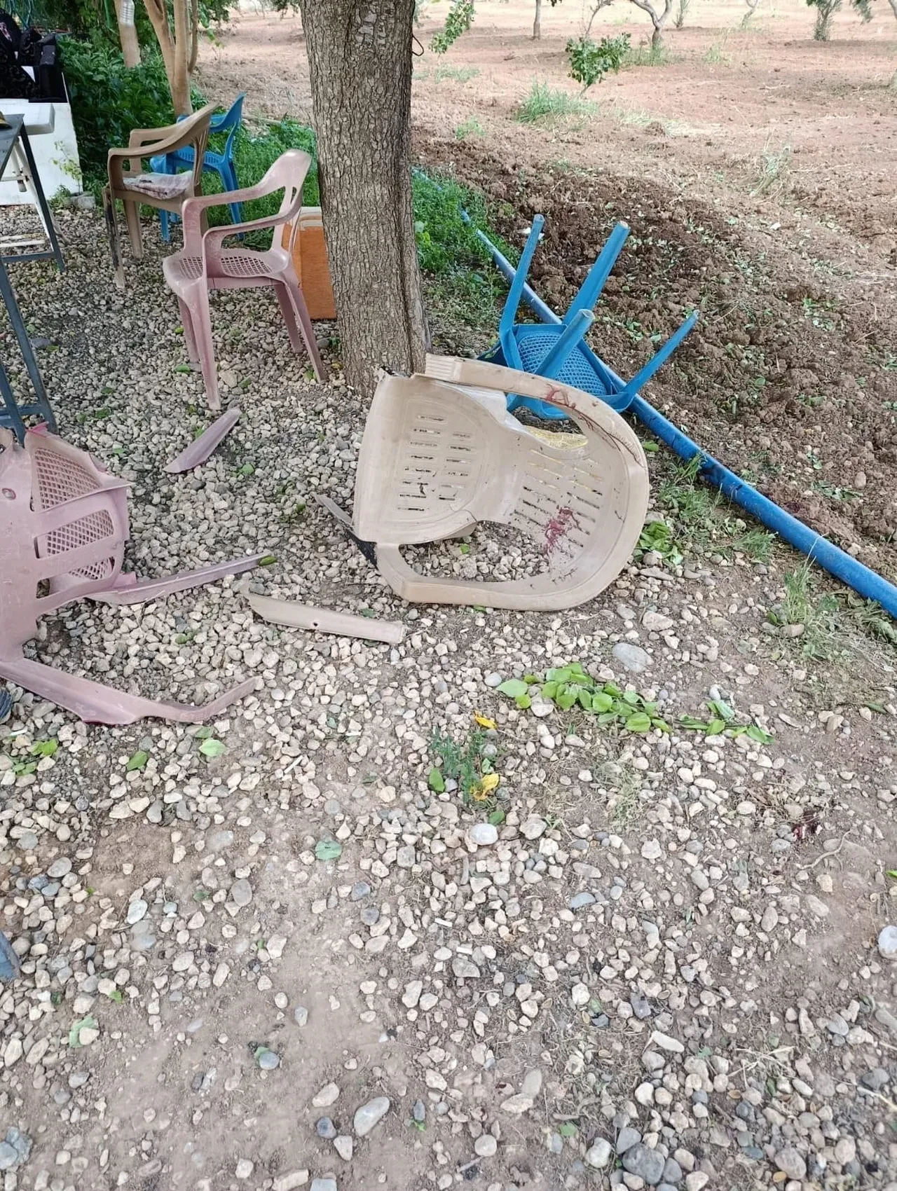 Ağabey dehşet saçtı! Gaziantep'te kardeşlerin tartışması cinayetle bitti