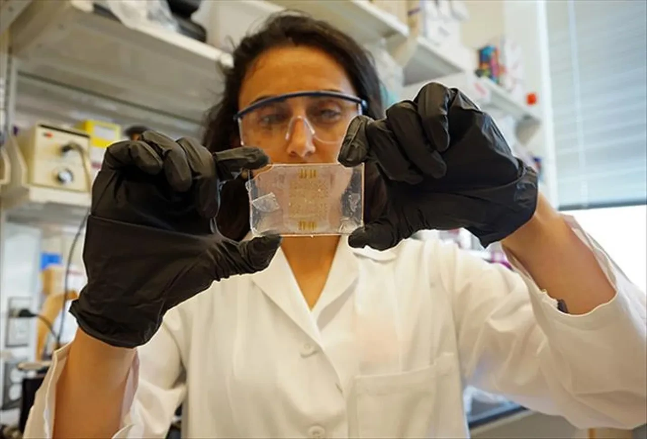 Canan Dağdeviren kimdir? Beyin kanaması geçirdiğini açıkladı