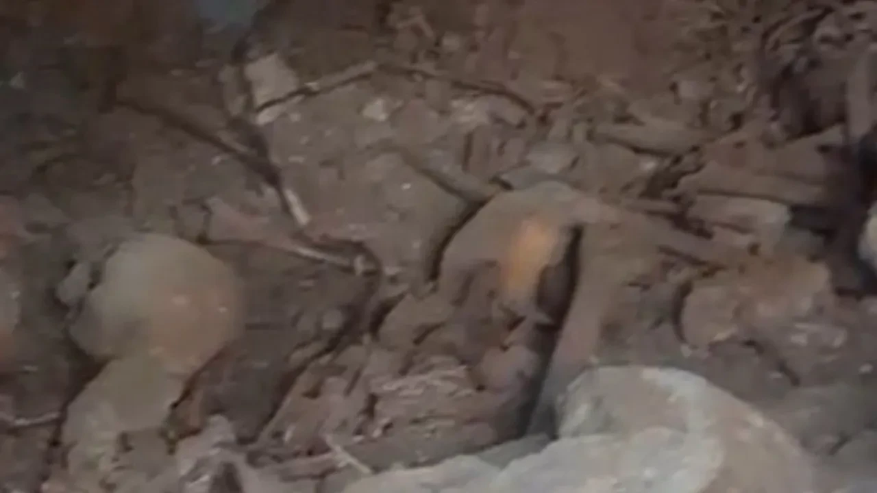 Kahramanmaraş'ta esrarengiz olay! Kazı çalışmasında ortaya çıktı, ekipler harekete geçti