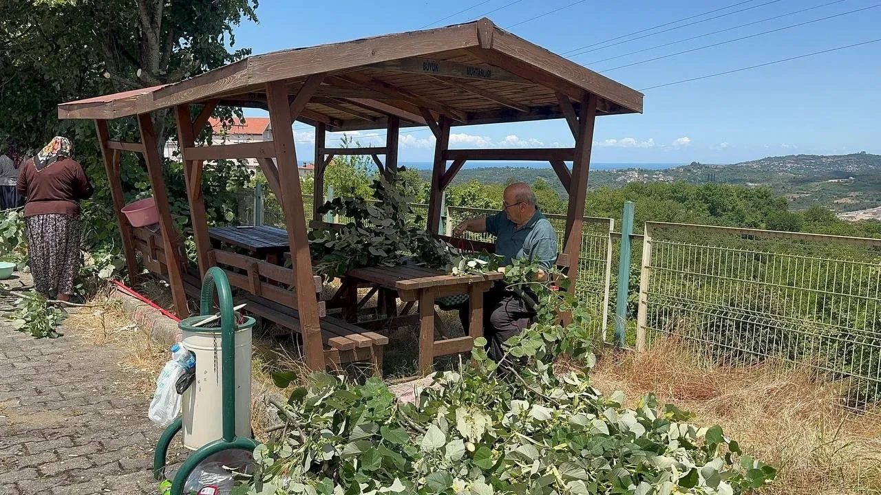 Kışın aylarının vazgeçilmezi! Ihlamurun hasadı başladı, fiyatı altınla yarışıyor