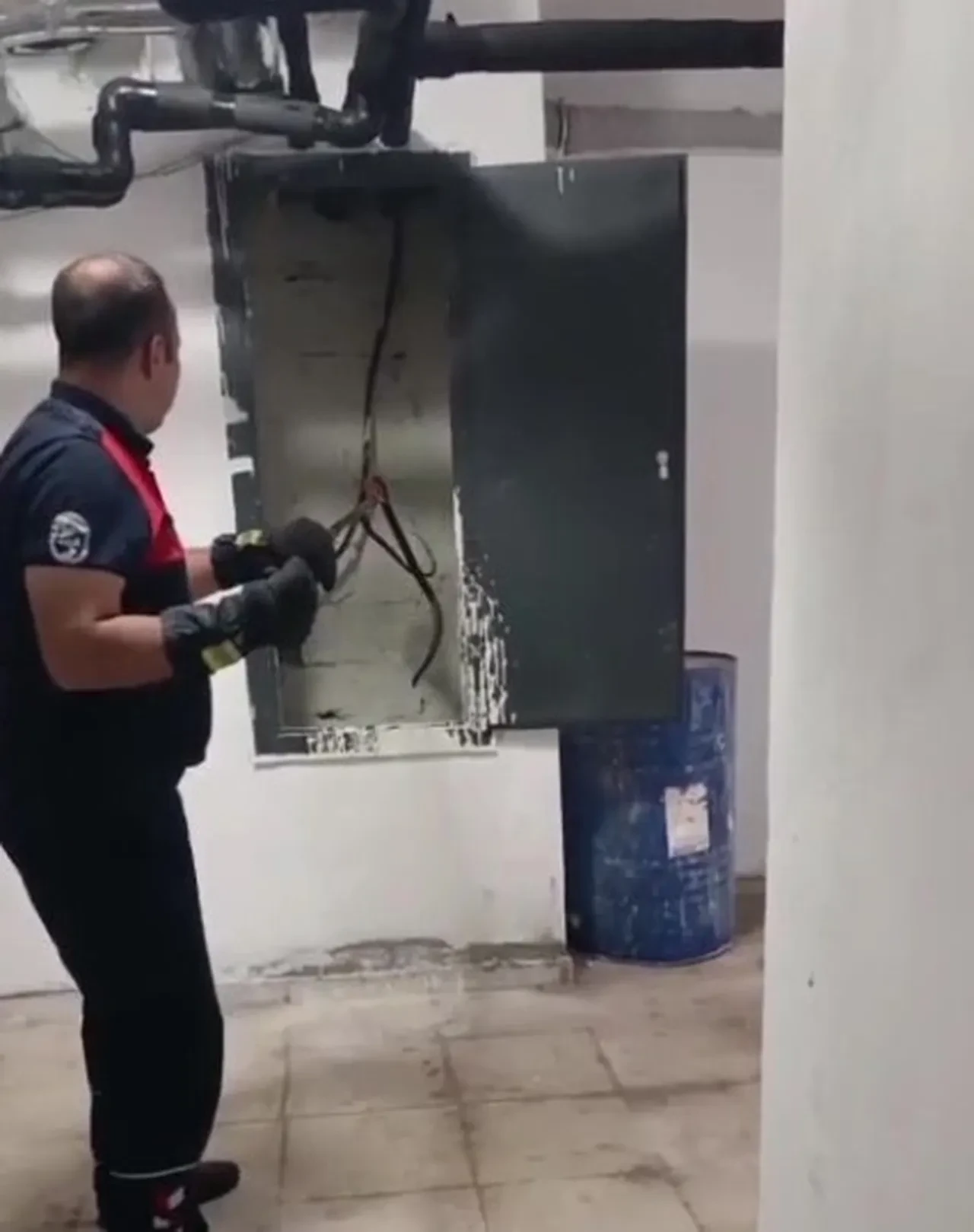 Vatandaşların yüreği ağzına geldi! Kazan dairesinde yılan paniği