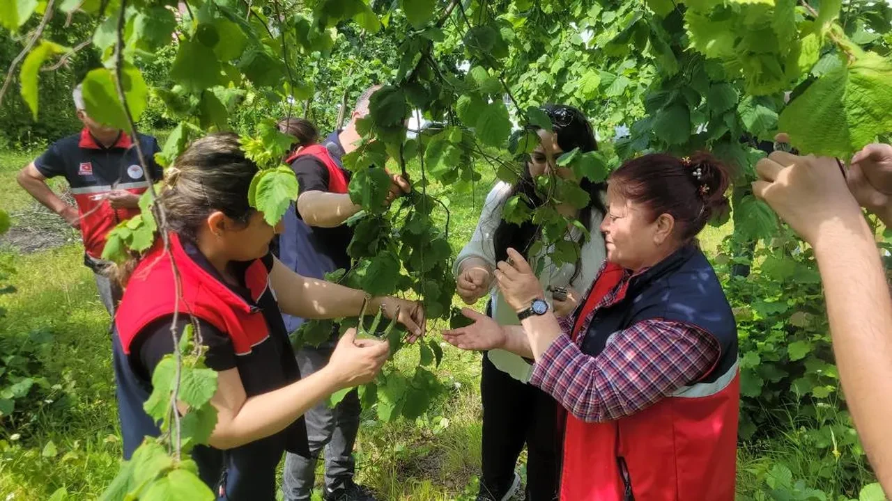 Çiftçinin başının belası için binlerce arı harekete geçti 