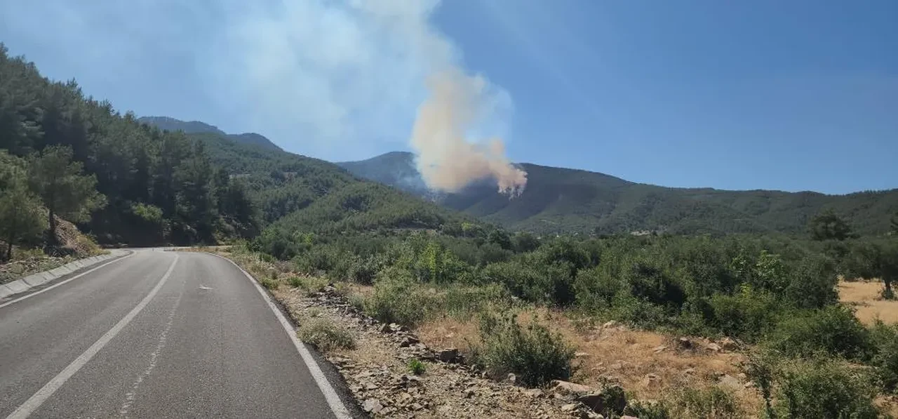 Hatay’da orman yangını! Ekipler seferber