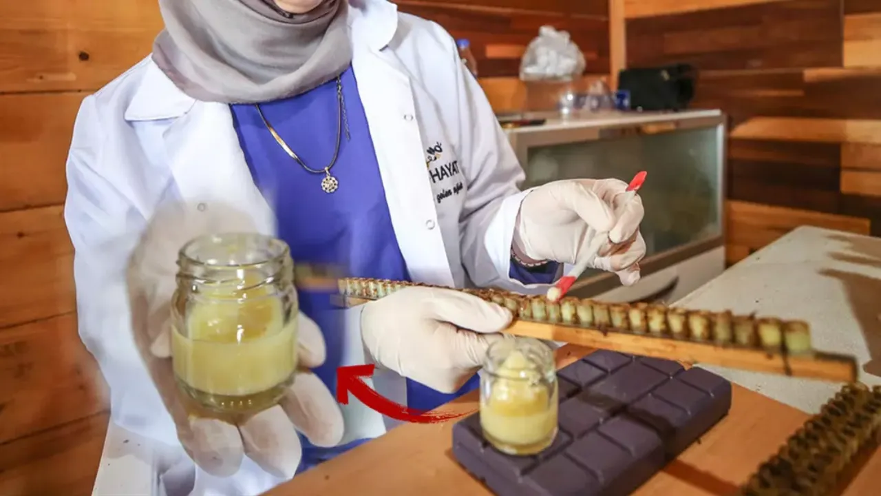 İşini bırakıp bambaşka bir mesleğe başladı! Kilo başına tam 45 bin TL kazanıyor 