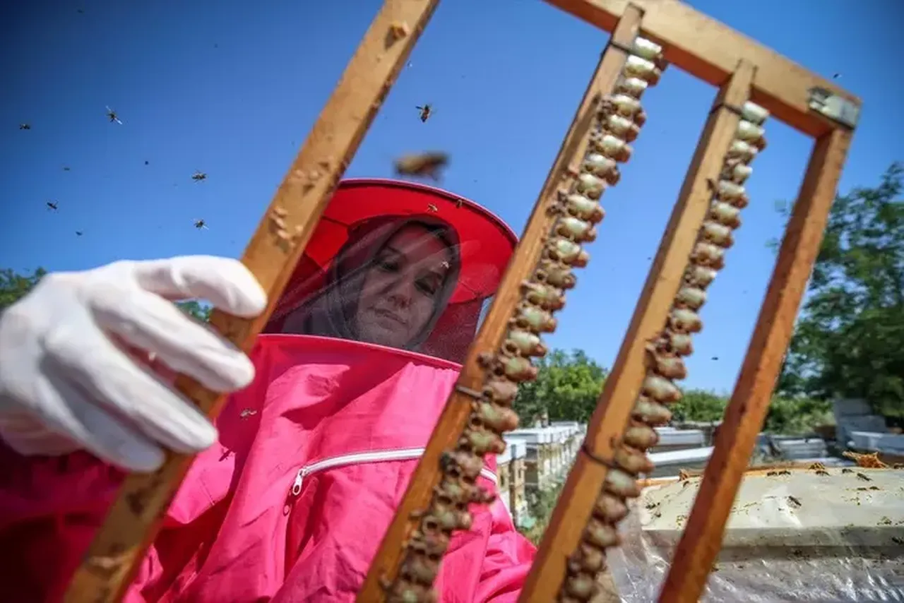 İşini bırakıp bambaşka bir mesleğe başladı! Kilo başına tam 45 bin TL kazanıyor 