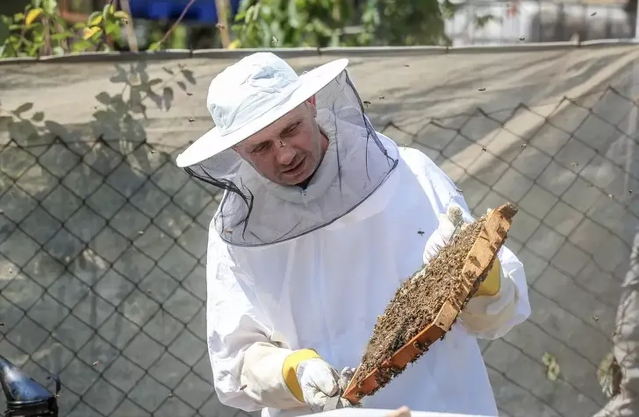 İşini bırakıp bambaşka bir mesleğe başladı! Kilo başına tam 45 bin TL kazanıyor 