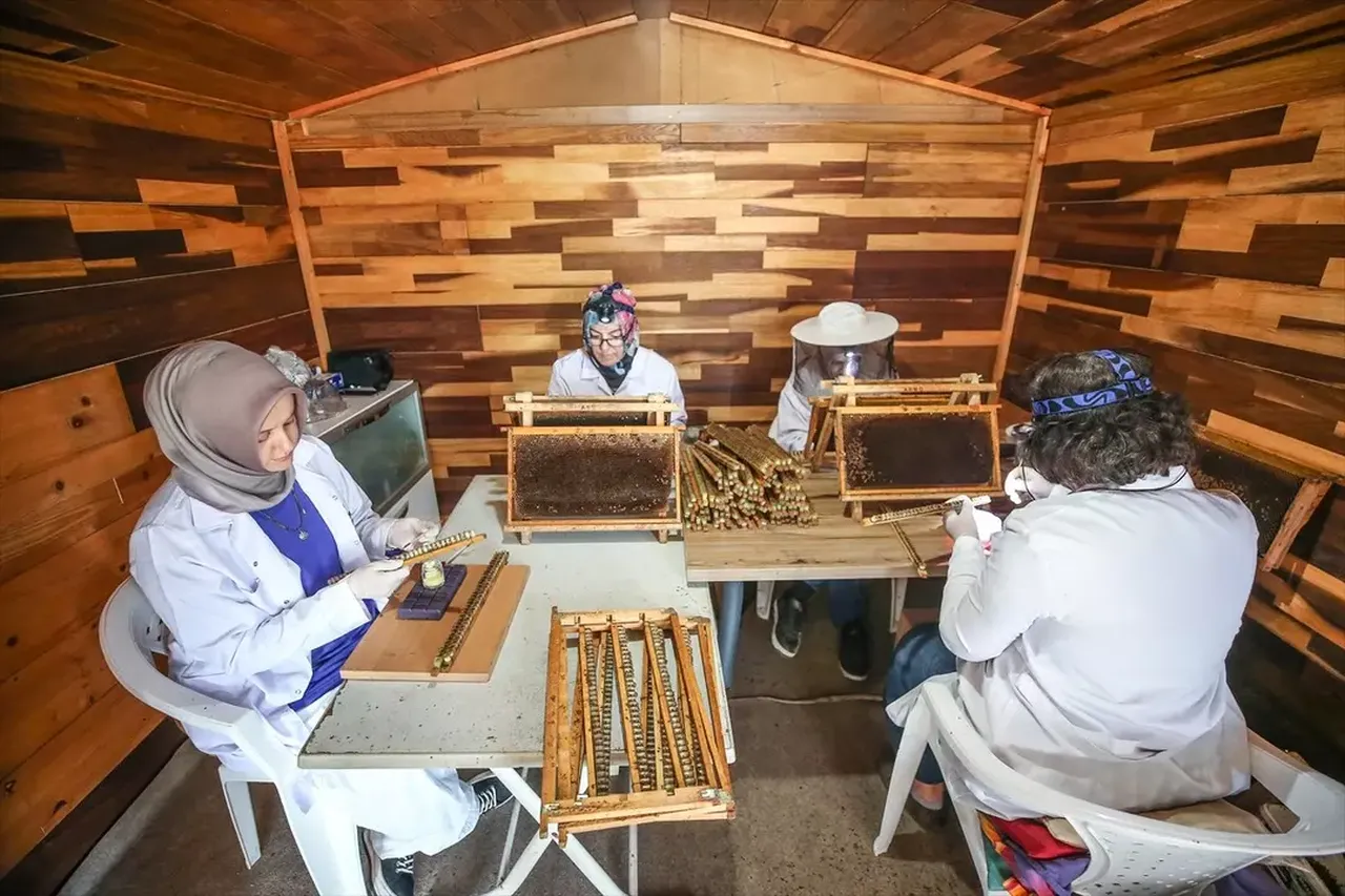 İşini bırakıp bambaşka bir mesleğe başladı! Kilo başına tam 45 bin TL kazanıyor 