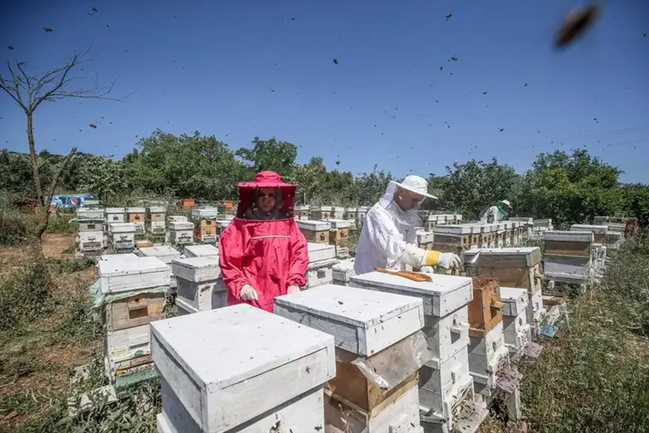 İşini bırakıp bambaşka bir mesleğe başladı! Kilo başına tam 45 bin TL kazanıyor 