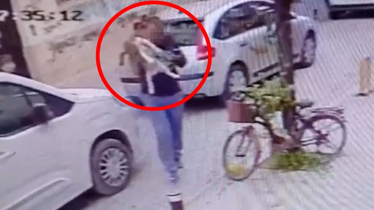 Kucağındaki köpeği yere fırlattı! Hayvanın yürek yakan acı çekişi kamerada