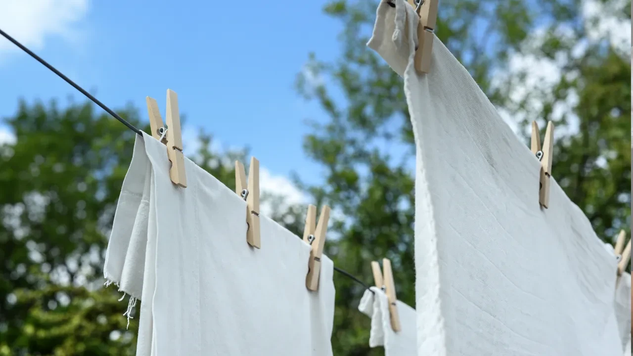 Polen alerjisi olanlar dikkat! Bu taktik sayesinde artık evde hiç hapşırmayacaksınız