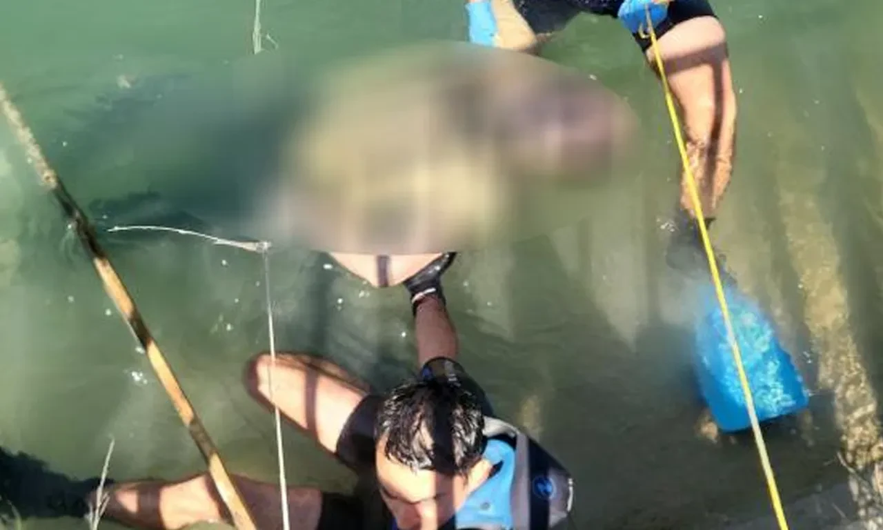 Sulama kanalında korkunç manzara! Erkek cesedi bulundu