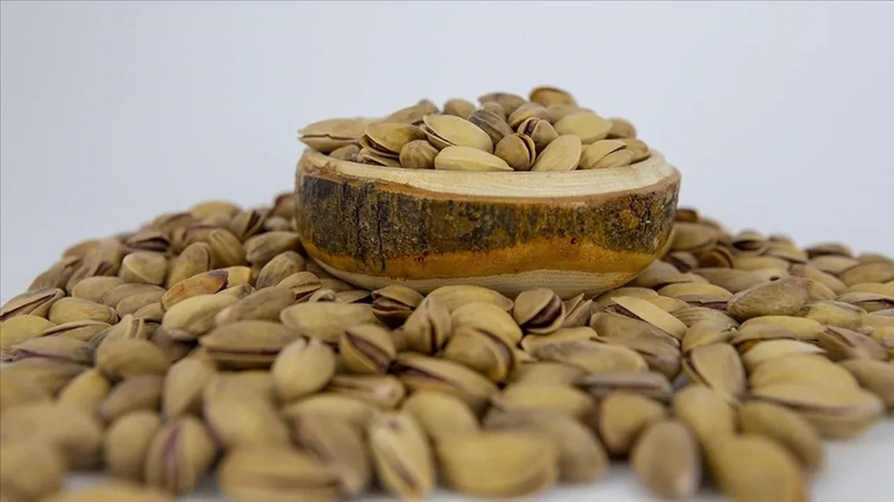 Antep fıstığı tescillendi: Türkiye’nin 36. coğrafi işaretli ürünü