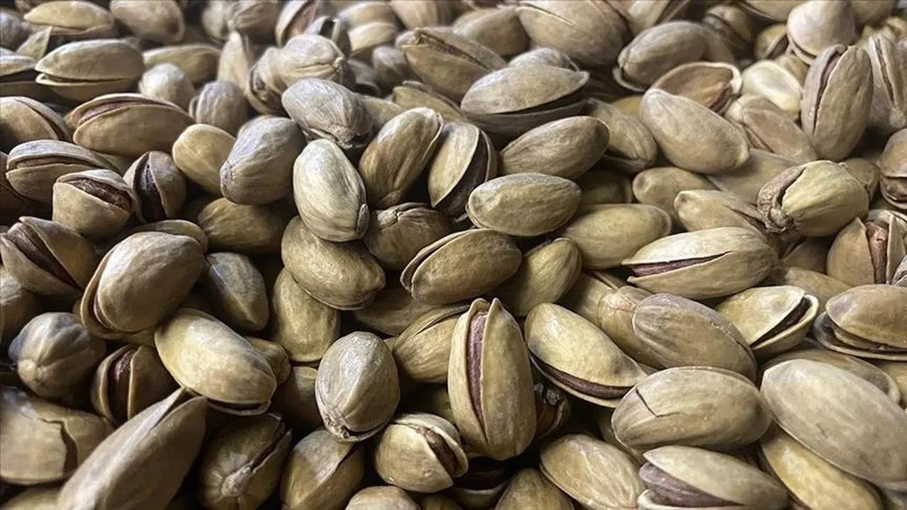 Antep fıstığı tescillendi: Türkiye’nin 36. coğrafi işaretli ürünü