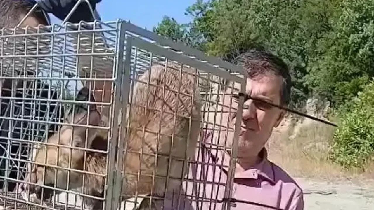 Evinin bahçesinde gördüğüne inanamadı! 