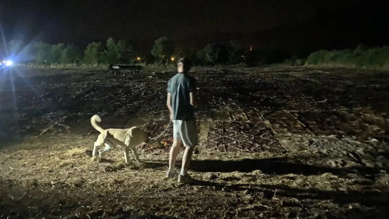 Halı tarlalarından görsel şölen! Milyonluk nöbet başladı