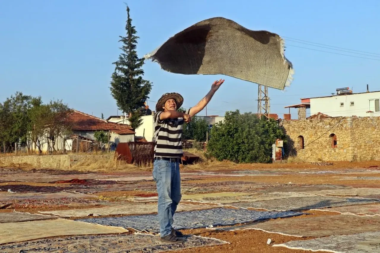 Halı tarlalarından görsel şölen! Milyonluk nöbet başladı