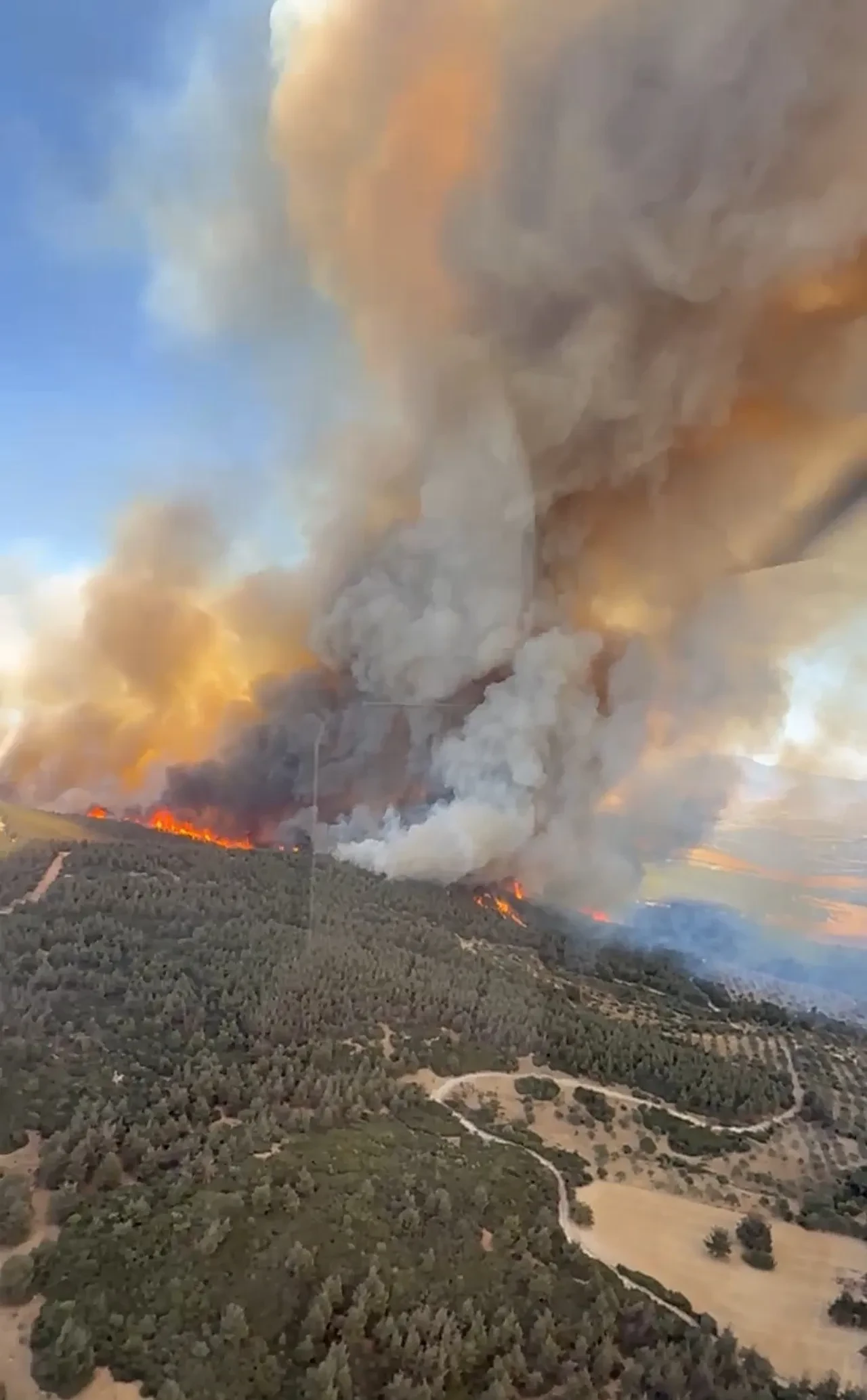 İzmir Foça yangın mı çıktı, son dakika? Havadan ve karadan müdahaleler sürüyor