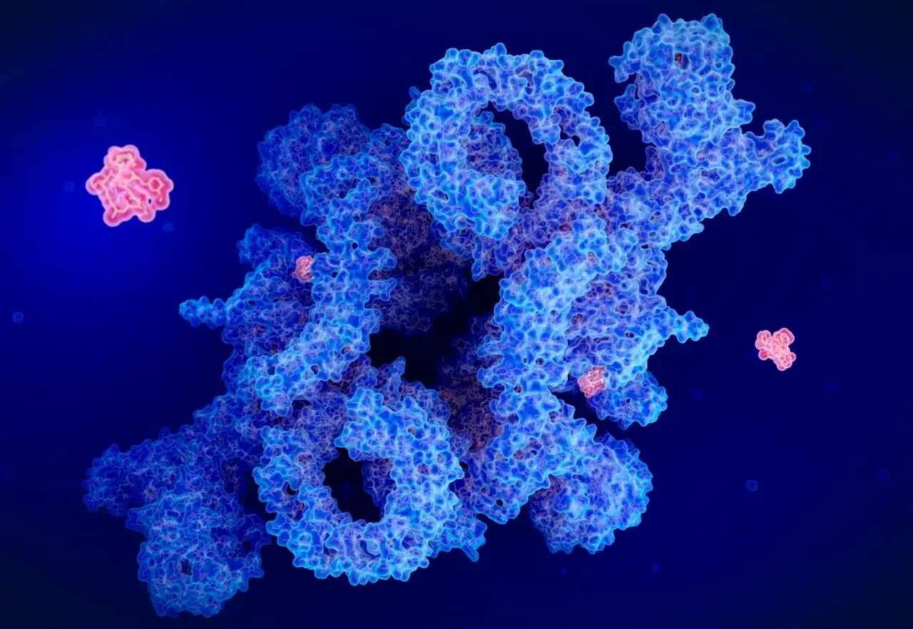 Ömrü uzatmak mümkün mü? Bir ilaç ile hayvanlarda başardılar