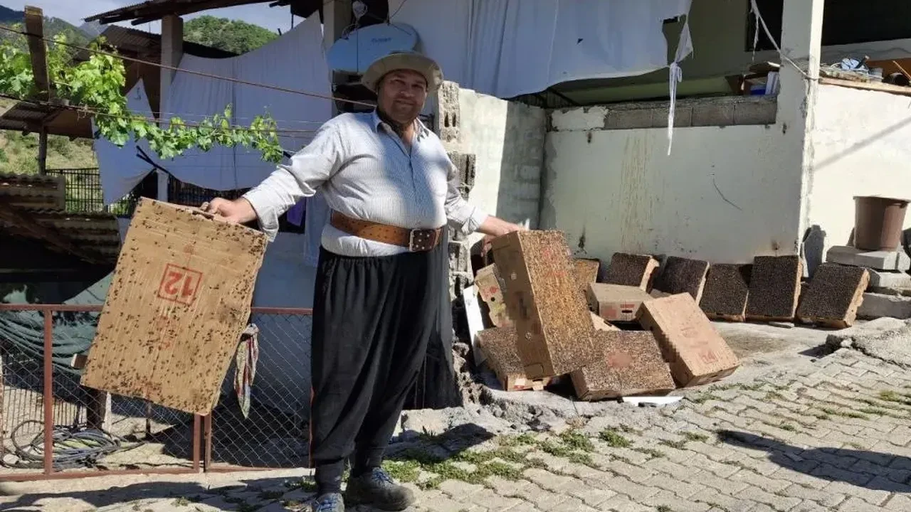Sinek sorununa şaşırtıcı çözüm! Binlercesini bakın nasıl yakalıyor