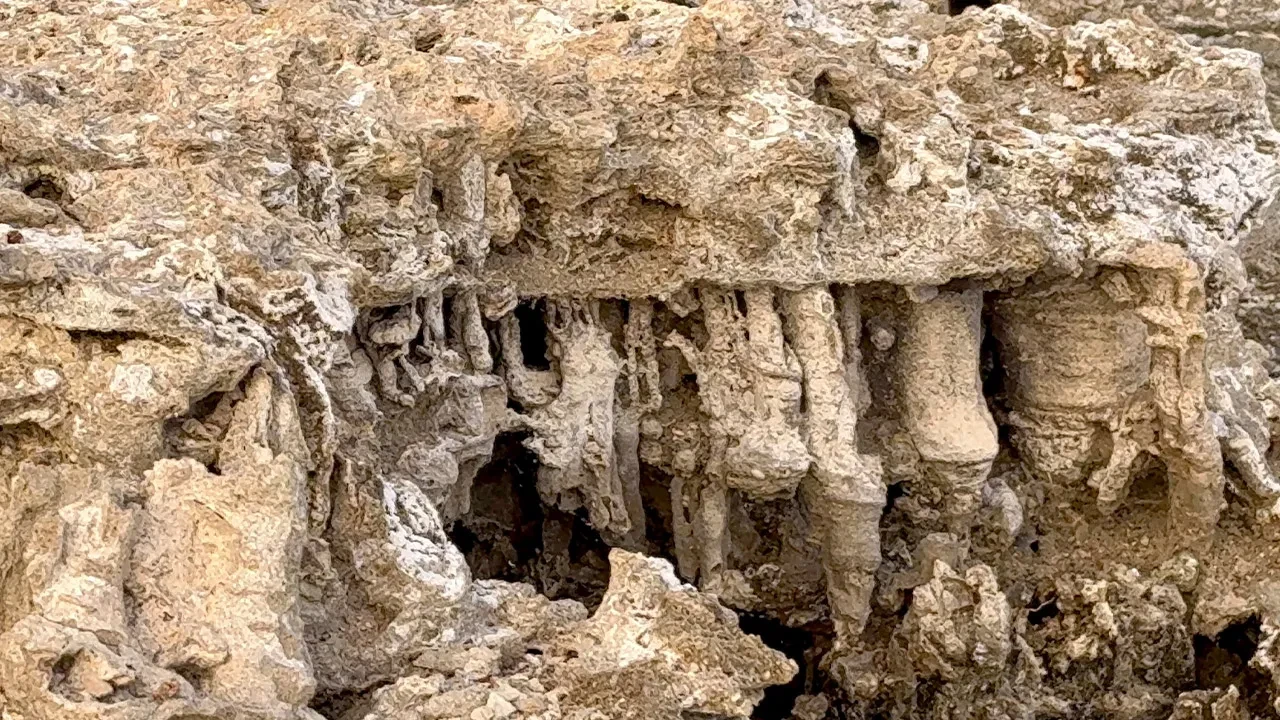 Van Gölü'nde sular çekildi, hepsi Tatvan sahilinde ortaya çıktı! Uzmanlar ana sebebini açıkladı