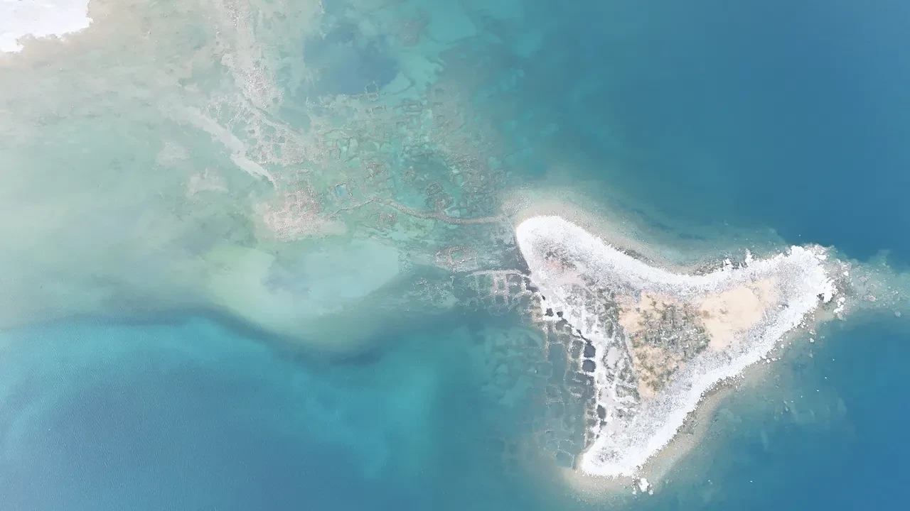 Van Gölü'nde sular çekildi, hepsi Tatvan sahilinde ortaya çıktı! Uzmanlar ana sebebini açıkladı