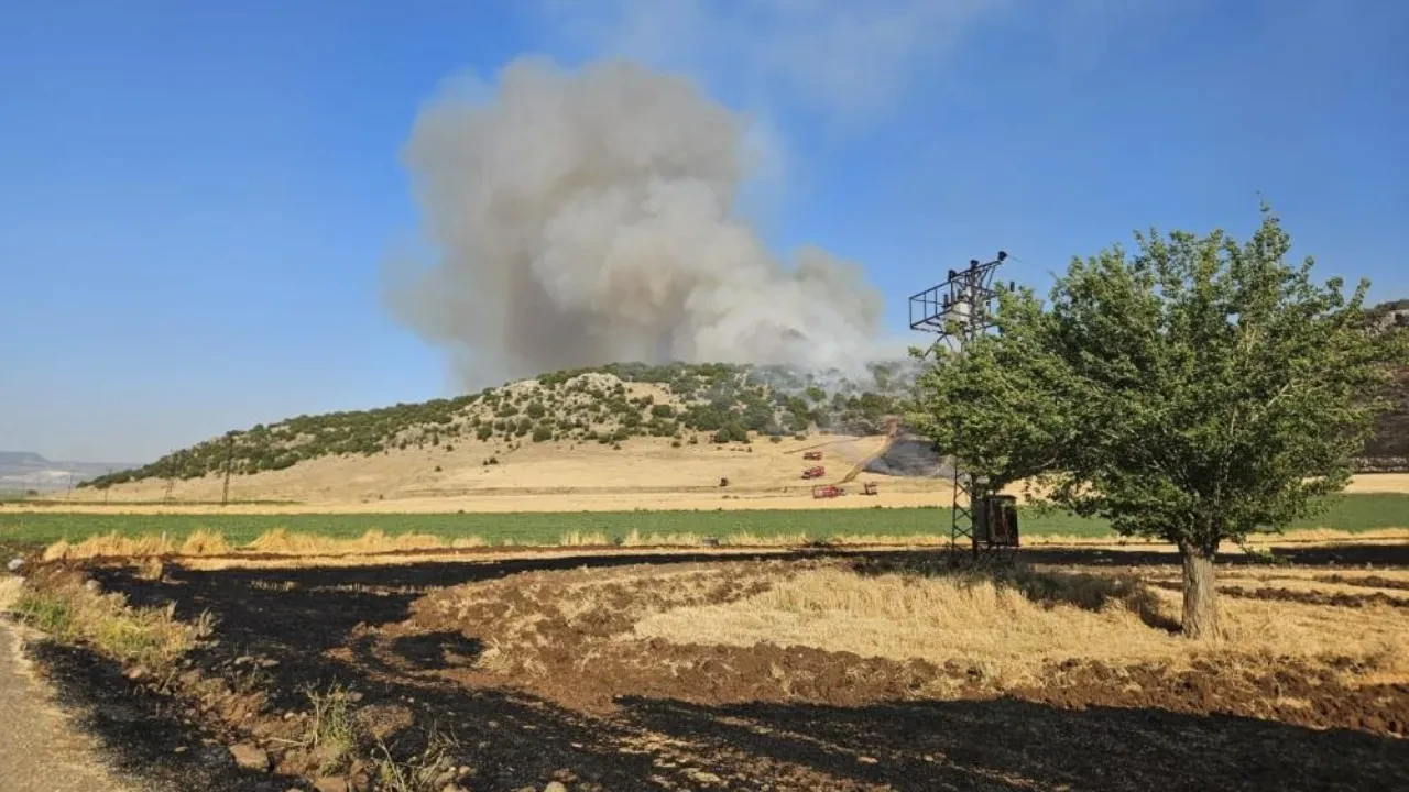 Gaziantep'te anız yakan şahsa rekor ceza kesildi!