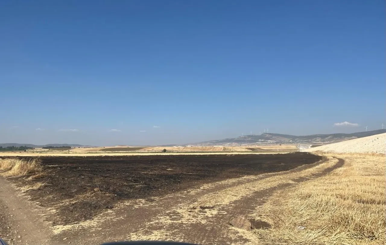Gaziantep'te anız yakan şahsa rekor ceza kesildi!