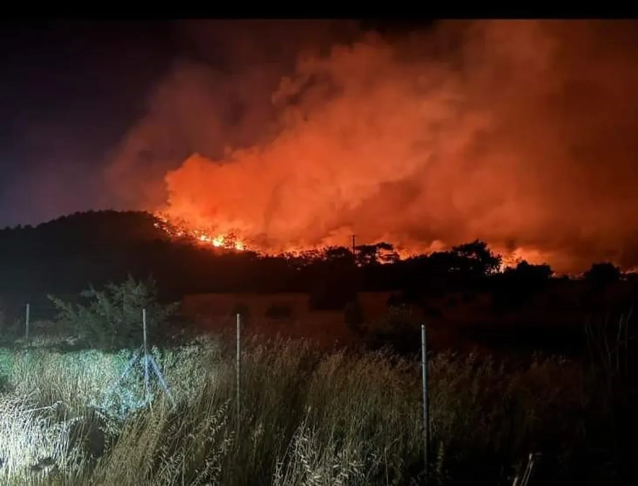 İzmir'de orman yangını! Sevindiren haber geldi: Alevler kontrol altında
