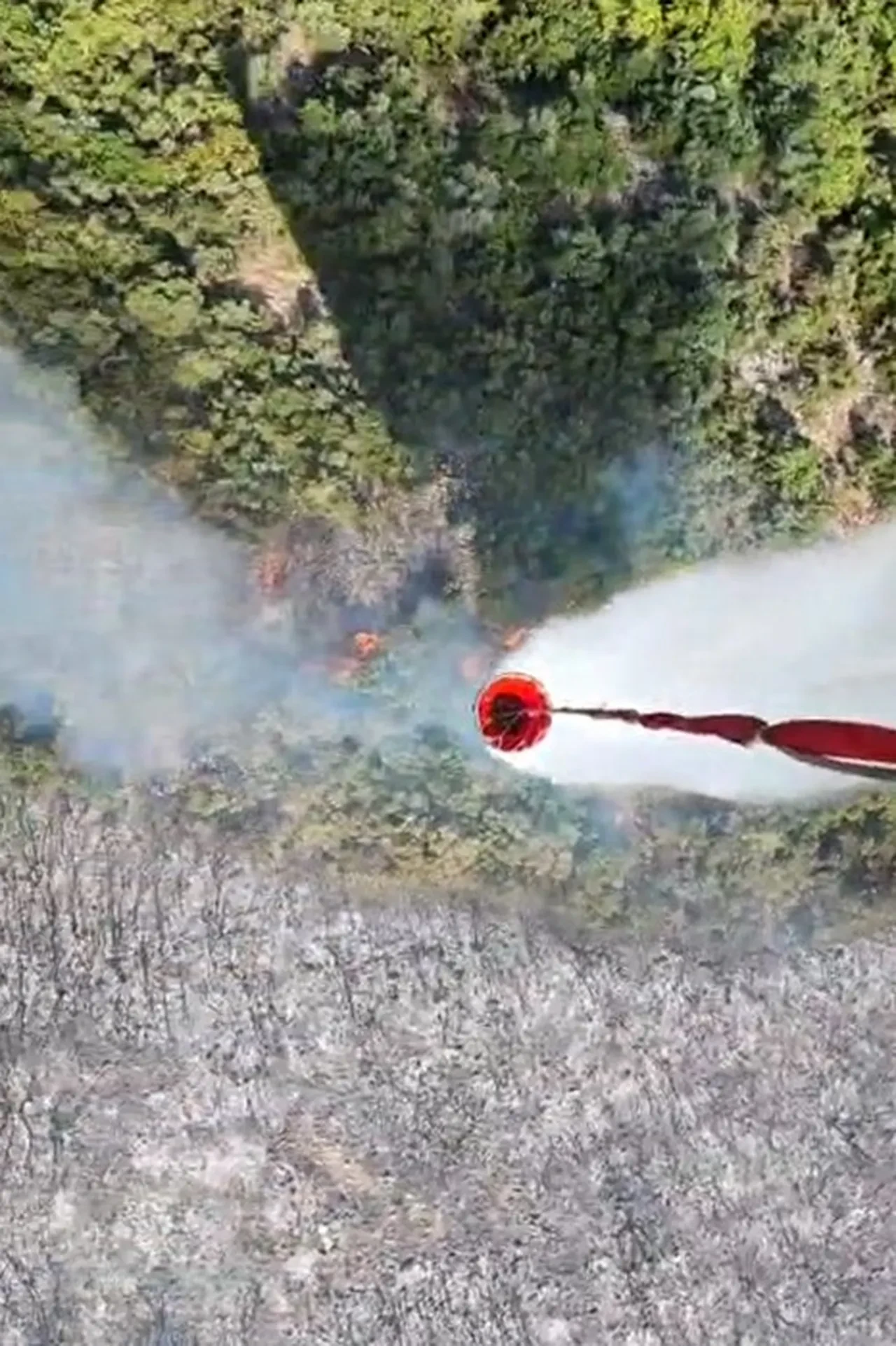 İzmir'de orman yangını! Sevindiren haber geldi: Alevler kontrol altında