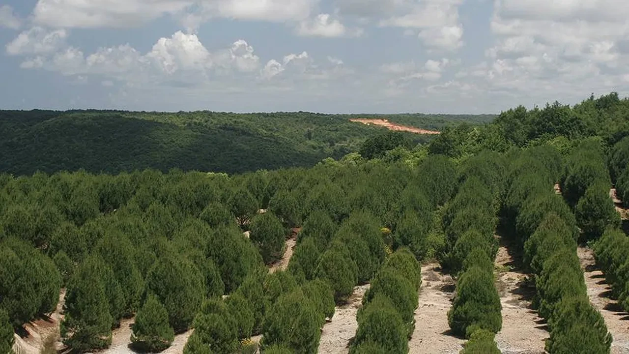 Kemerburgaz Kent Ormanı mangal yasak mı 2025?