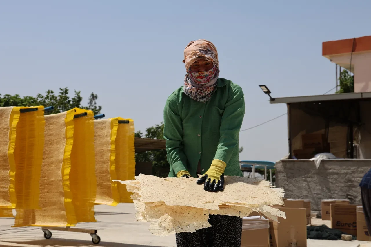 Kilosu 250 TL! Türkiye'den gönderiliyor! Almanya, Fransa ve Hollanda'da kapış kapış satılıyor