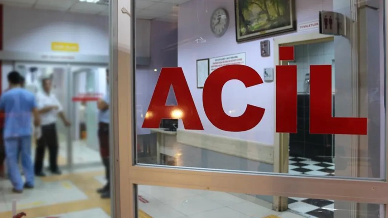 Ordu'da feci kaza! Kamyonet uçuruma devrildi: 2 ölü
