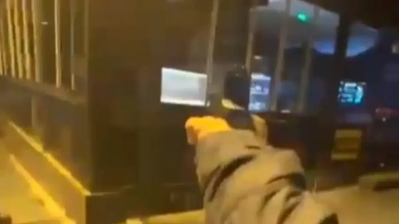 Şehir eşkıyaları adaletten kaçamadı! 